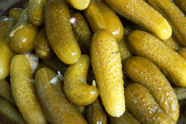 stock image Sour cucumbers in barrel