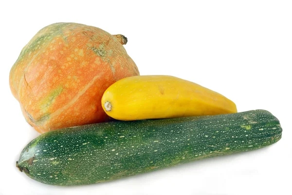Orange pumpa och zucchinies — Stockfoto