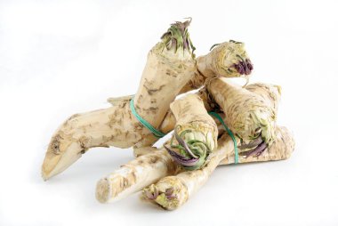 horseradish yemeği veya salata için baharatlı çeşni olarak kökleri