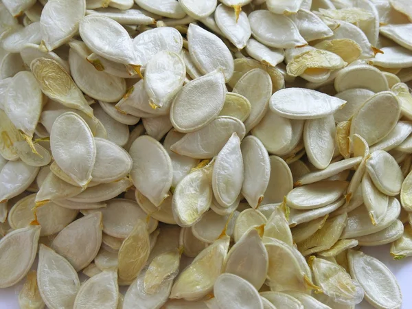 Dried seeds of pumpkin — Stock Photo, Image