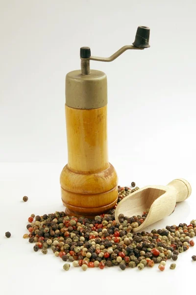 Multicolor peper granen en hand molen — Stockfoto