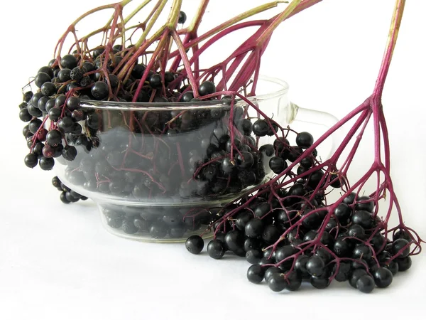Elder berries and juice as natural medicine — Stock Photo, Image