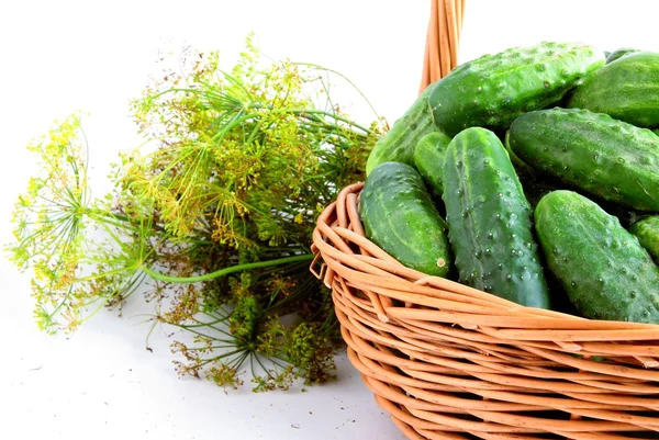 Grön gurka och torkad dill för syrning — Stockfoto