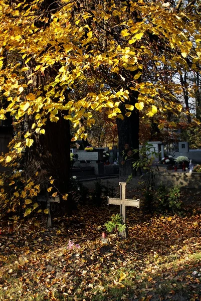Katholisches Kreuz, Friedhof und Herbst — Stockfoto