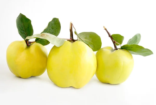 Quinces fruits — Stock Photo, Image