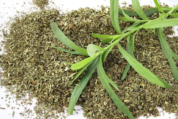 Tarragon fresh herb and dried — Stock Photo, Image