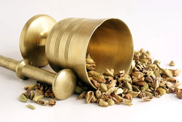 Cardamon seeds as spice and montar for grinding — Stock Photo, Image