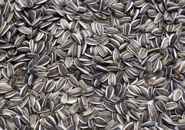 Sunflower seeds clipart