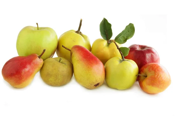 Různé druhy ovoce — Stock fotografie