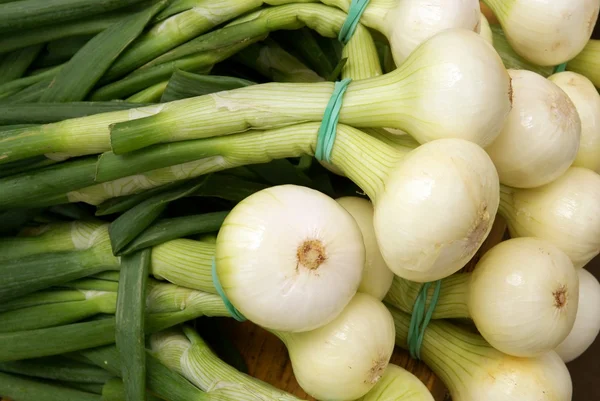 Early onions with green leaves — Stock Photo, Image
