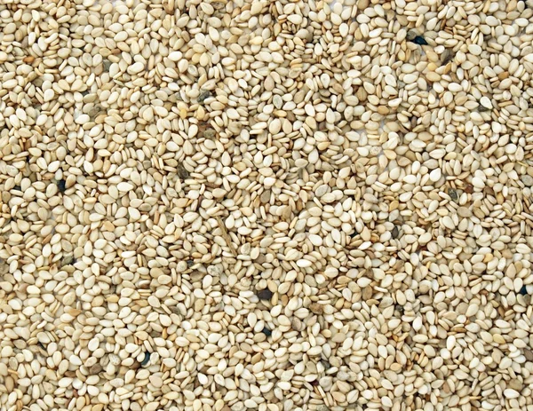Sesam 種子をクローズ アップ — ストック写真