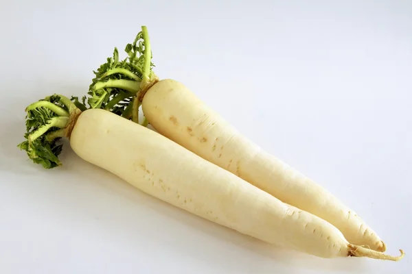 Long white roots of radish — Stock Photo, Image