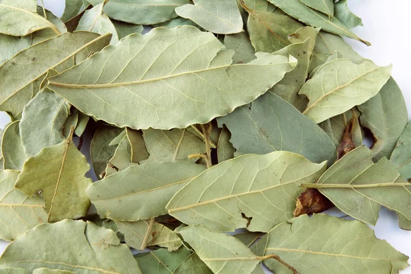 Wawrzyn suszonych liści jako przyprawa do gotowania posiłków — Zdjęcie stockowe