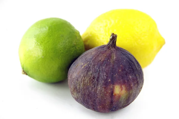 Lila fig and citrus fruits — Stock Photo, Image