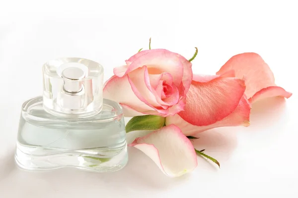 Parfum en roze rose — Stockfoto