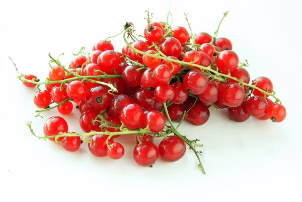 Red currants in clusters — Stock Photo, Image