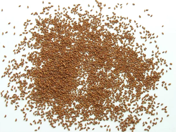 Flax-seed — Stock fotografie