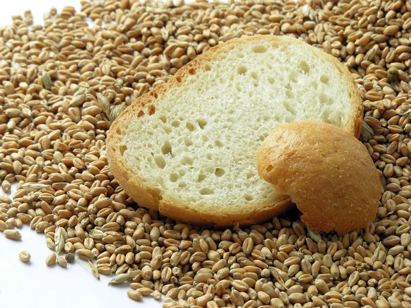 Slices of bread and wheat seeds — Stock Photo, Image