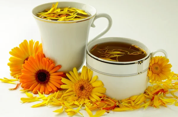 Marigold çiçek ve yaprakları doğal ilaç ve kozmetik olarak — Stok fotoğraf