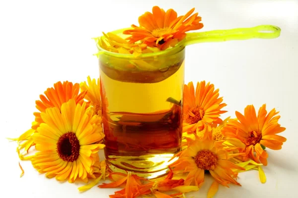 Goudsbloem oranje bloemen als kruidengeneeskunde — Stockfoto