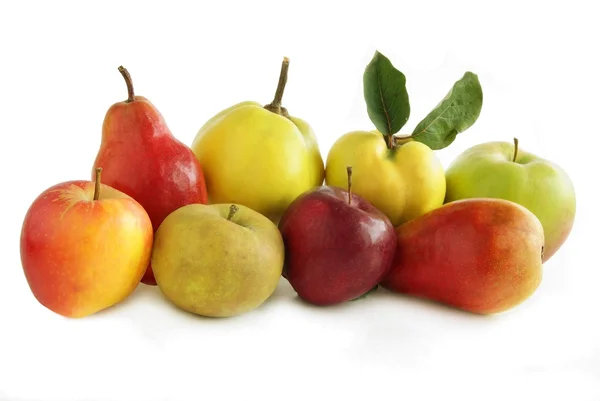 Diverse vruchten — Stockfoto