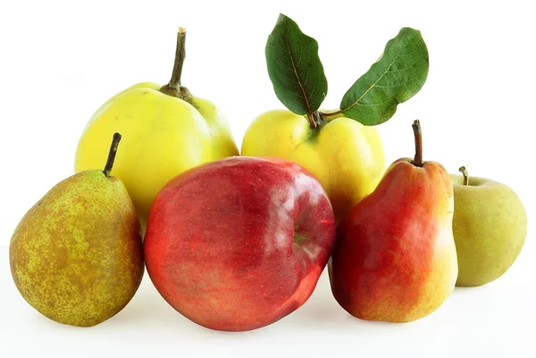 Jablka, hrušky a kdoule ovoce — Stock fotografie