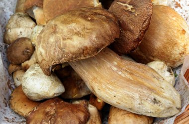 Boletus mantarı gibi lezzetli yemekler