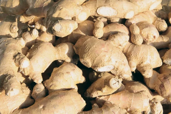 Ginger roots as wholesome and tasty spice from India — Stock Photo, Image