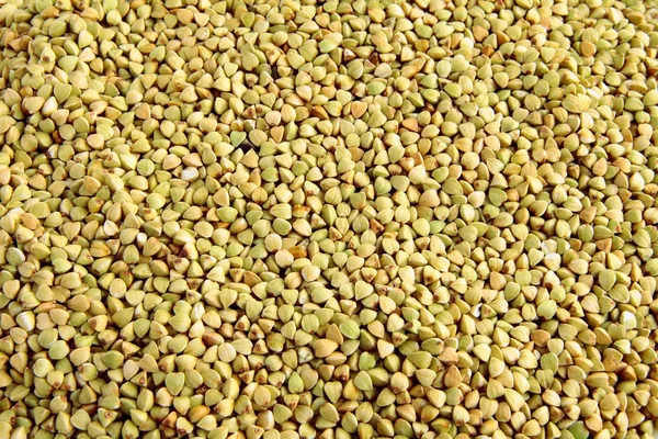 Buckwheat gruel as vegetarian food — Stock Photo, Image
