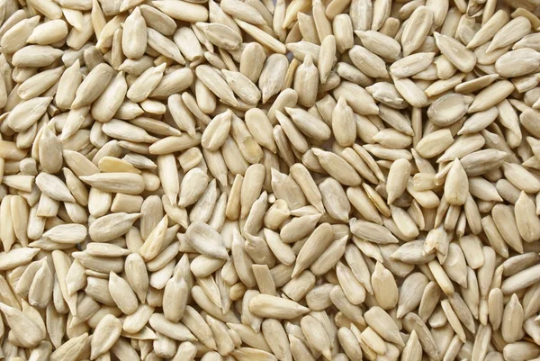 食品の健全な調味料としてのヒマワリの穀物 — ストック写真