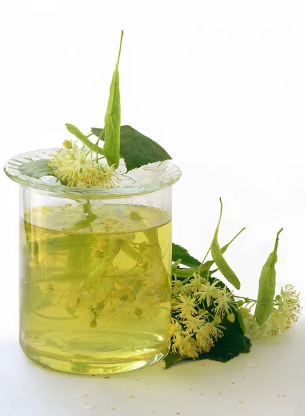 Linden tree flowers as natural medicine — Stock Photo, Image