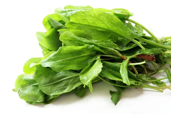 Zielone liście mniszka lekarskiego na wiosnę sałatki — Zdjęcie stockowe