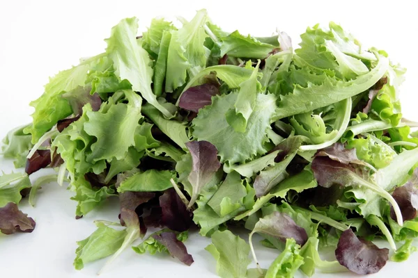 Green leaves of lettuce — Stock Photo, Image