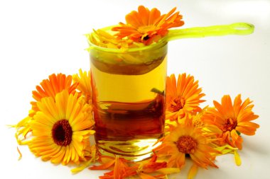 marigold çiçek sağlıklı turuncu yaprakları