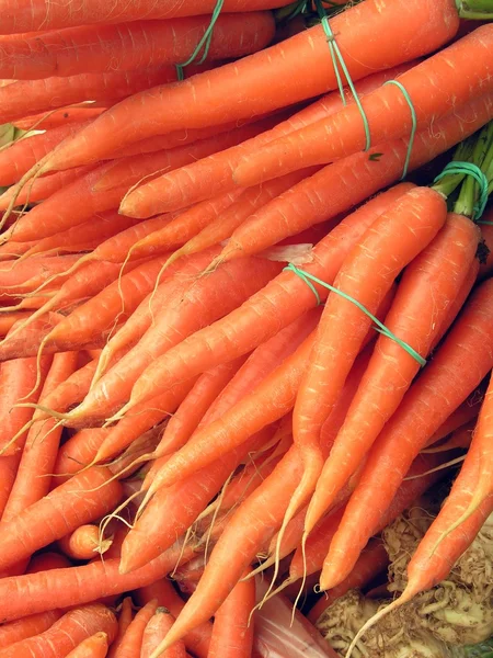 Oranje wortels van vroege wortel — Stockfoto