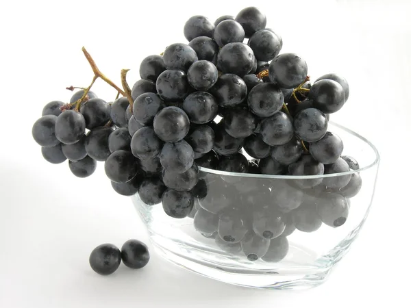 Bos van zwarte druiven — Stockfoto