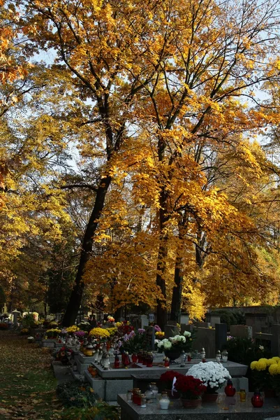Hösten på kyrkogård — Stockfoto