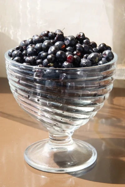 Blueberies fruits in glass pot — Stock Photo, Image
