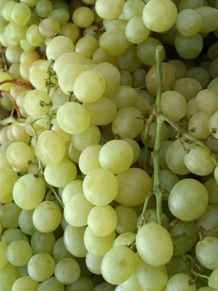 stock image Clusters of white grapes