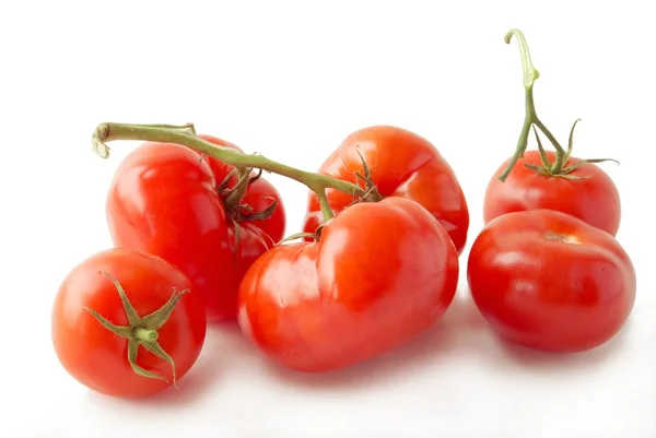 Rode tomaten Rechtenvrije Stockfoto's