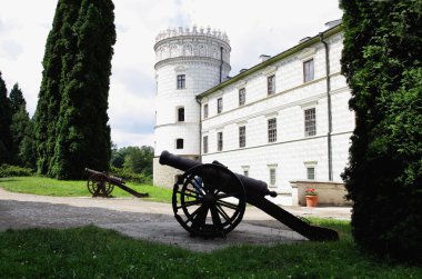 old lordly castle in Krasiczyn and gun on courtyard clipart