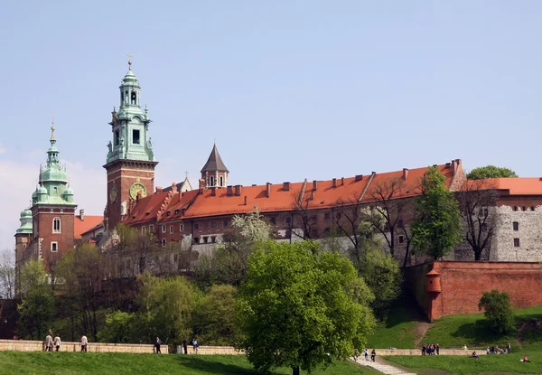 Фрагмент замку Вавель у Кракові — стокове фото