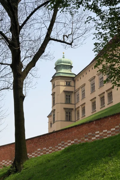 Fragmento do Castelo de Wawel em Cracóvia — Fotografia de Stock