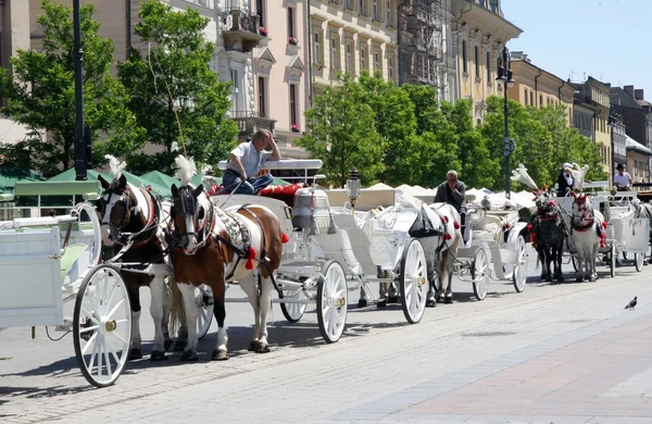 Cabine tradizionali con cavalli a Cracovia — Foto Stock