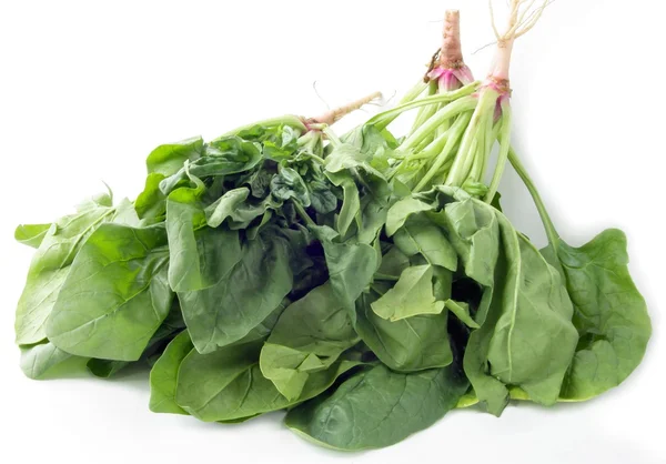 Foglie verdi di spinaci — Foto Stock