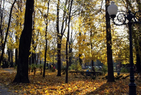Осень в Польше — стоковое фото