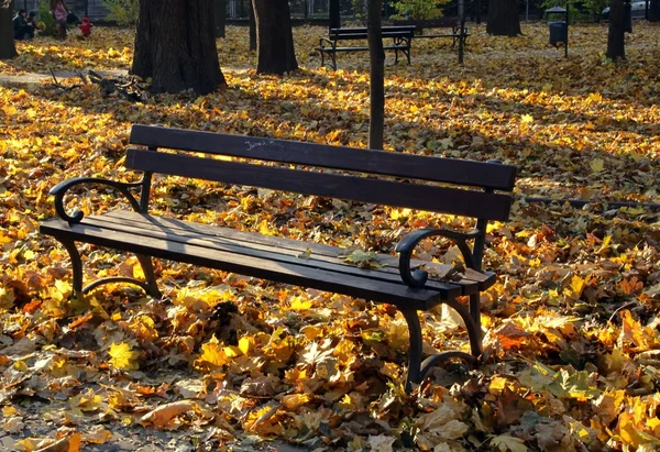 Złota jesień w parku — Zdjęcie stockowe
