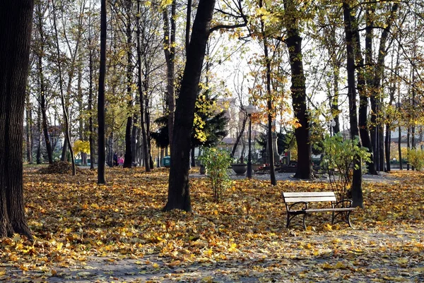 Gold autumn in Poland — Stock Photo, Image