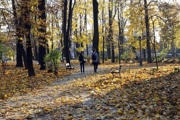 Höstens guld park och par i kärlek — Stockfoto