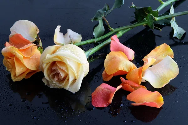 Мокрые розы на черном столе — стоковое фото
